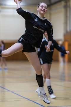 Bild 313 - wBJ TSV Ellerau - HSG Stoertal Hummeln : Ergebnis: 26:19
